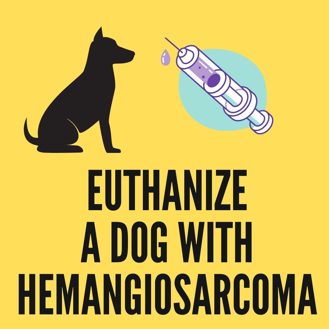 euthanize a dog with hemangiosarcoma